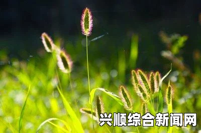 DNF90版本牡丹装备选择攻略