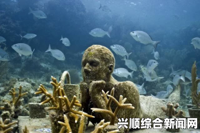 墨西哥浅海发现罕见活皇带鱼，神秘海洋生物重现人间