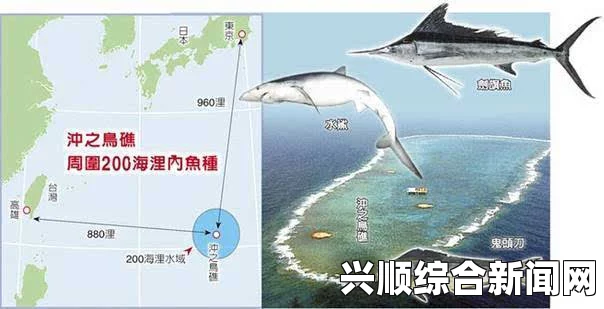 日本冲之鸟礁码头秘密工程进展及可能中止情况分析