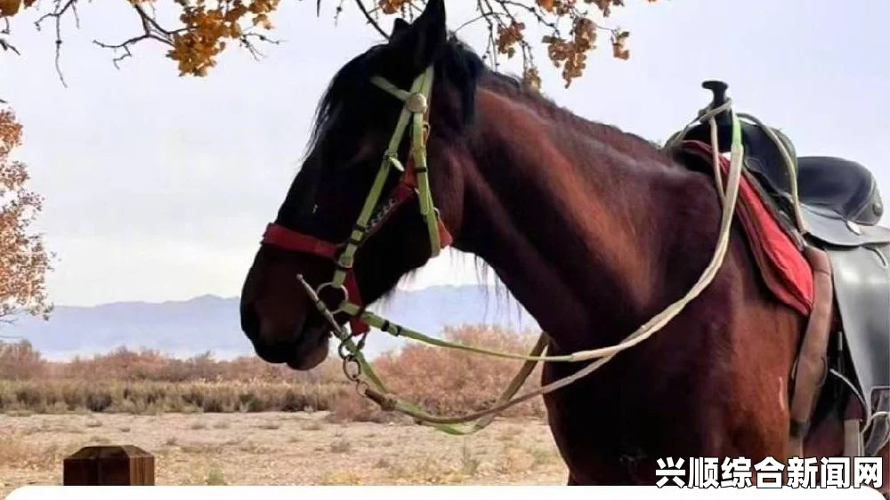 马被绑架中国女游客高华赟最新照片曝光，确定仍活着