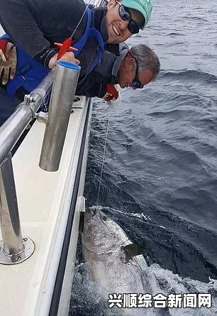 蓝鳍金枪鱼深海探险遭遇意外，下潜深度超出预设，被迫提前返航