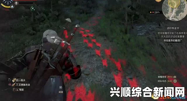 巫师3狂猎，支线任务家族之刃攻略