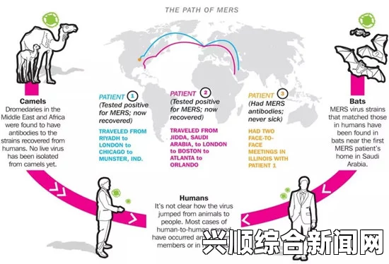 致命MERS病毒传播途径和渠道，全世界蔓延引发恐慌