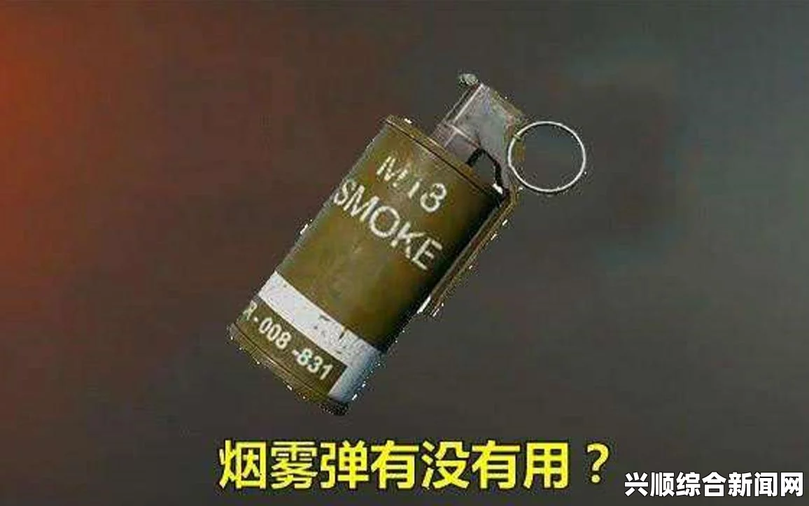 战地5烟雾弹实战运用指南与技巧解析