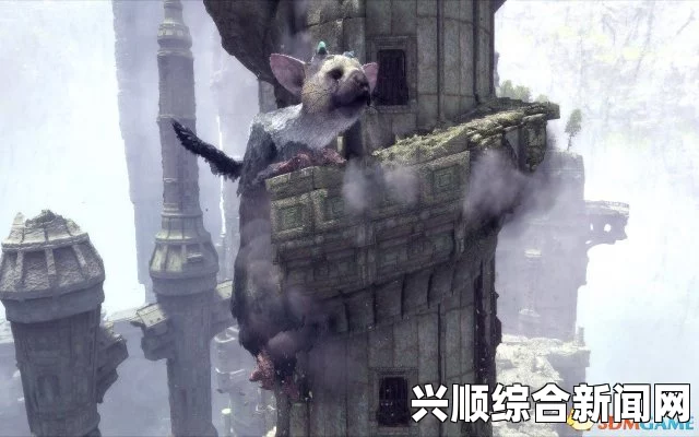 魔法年代最后的守护者自然法师技能详解
