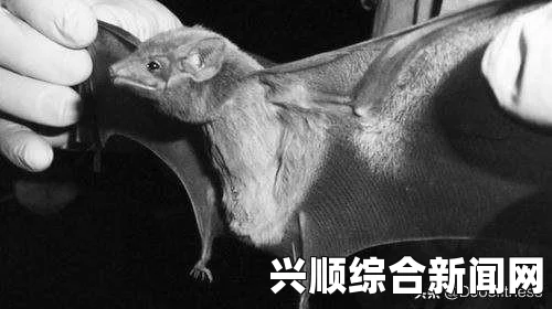 中东地区新SARS冠状病毒传播与骆驼有关，疫情严峻，死亡人数增加