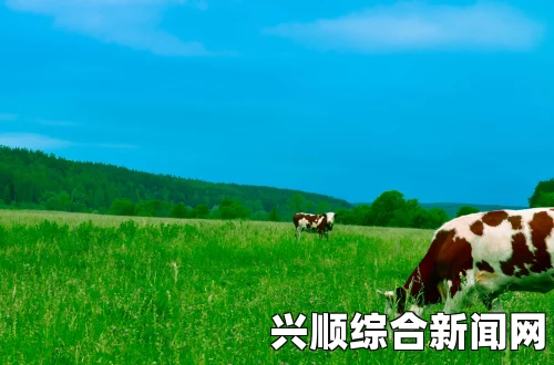 美国深泉学院，牧场耕种与放牧的言传身教