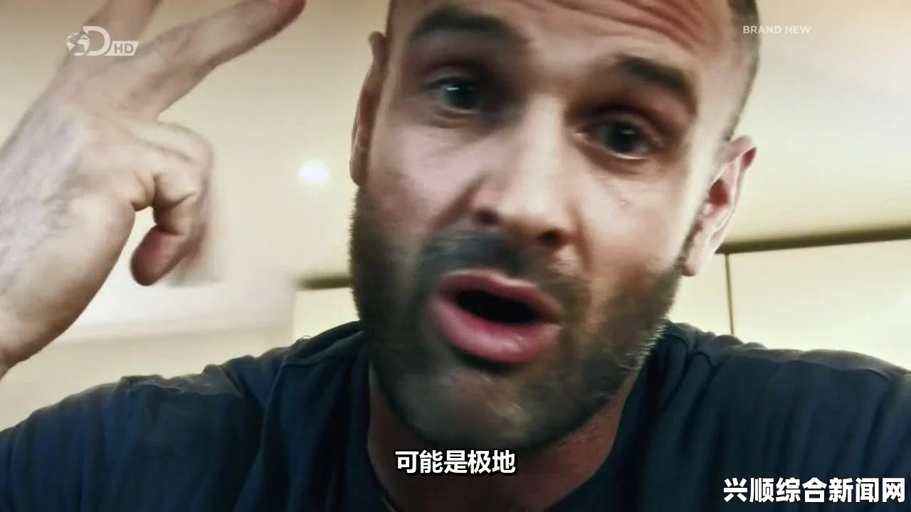 孤岛惊魂5弓箭秘籍，使用指南与最佳弓箭选择探索