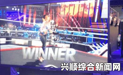 死或生6全面解析，深入探究伤害计算机制