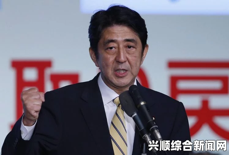 安倍欲推动解禁集体自卫权，自民党加快执政党磋商步伐
