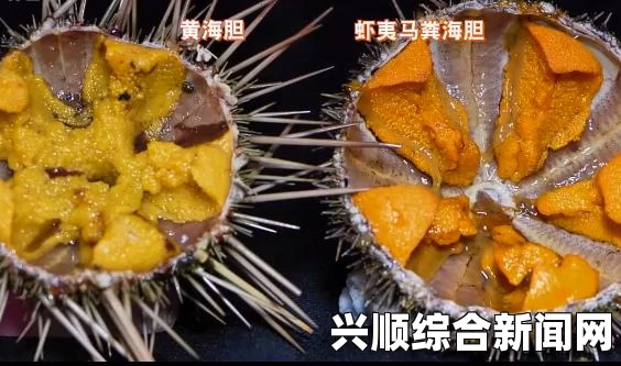 韩国拟开展打击中国渔船非法捕捞整治行动