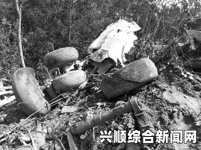 老挝军机坠毁事件，国防部长等高官在内的20人遇难