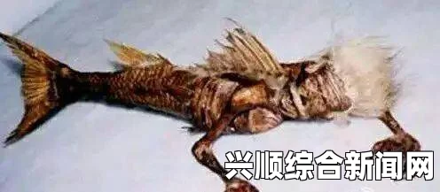 北冰洋疑发现美人鱼，神秘生物引发外星生命猜想（组图）