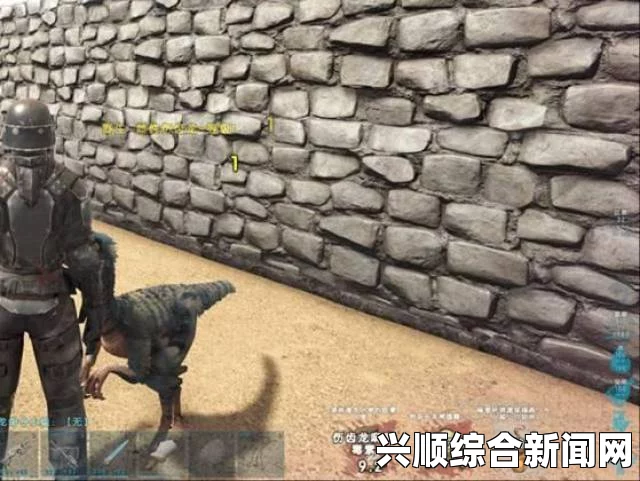 方舟，生存进化—家外面围墙的建设与制作