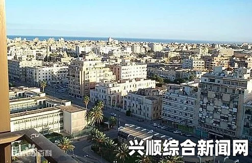 中国籍建筑工程师在利比亚班加西遭武装人员枪杀，事件回顾与反思