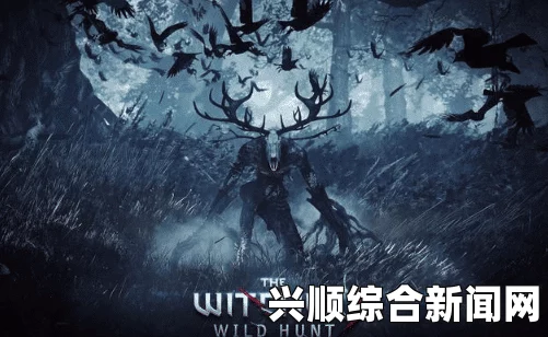巫师3狂猎，史凯利弗尔哈拉的神秘洞穴位置