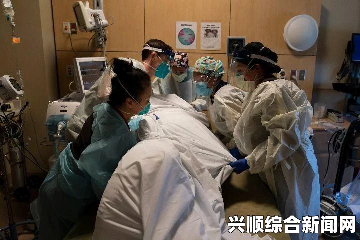 美国加州夫妇后院遛狗意外挖得宝藏，金币拍卖获数百万美元