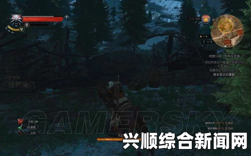 巫师3狂猎，熊学派技能加点方法与技能搭配攻略
