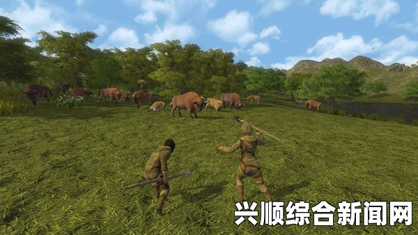 人类黎明出羊毛用什么羊好