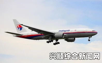 泰国失联飞机目击者讲述，MH370航班失联当晚看到飞机着火瞬间