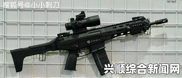 步枪类武器优选指南，深度解析与推荐