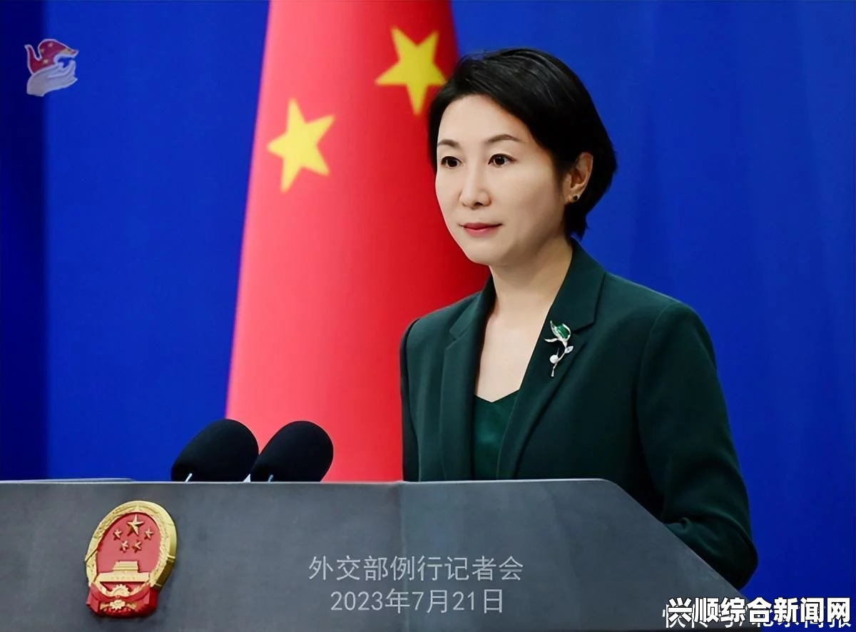 外交部呼吁保障新闻从业人员安全，防止悲剧重演
