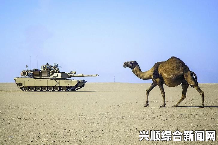 百法国年轻女子赴叙利亚，沦为圣战极端分子的性伴侣—一个警示性的故事