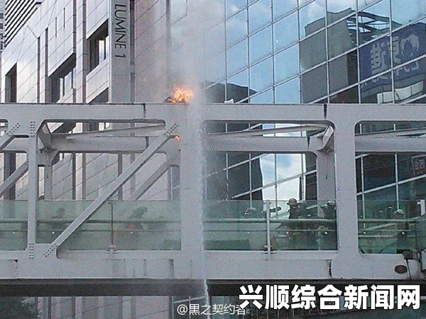 东京男子市中心自焚抗议反对自卫权解禁，社会关注焦点与行动反思（图文报道）