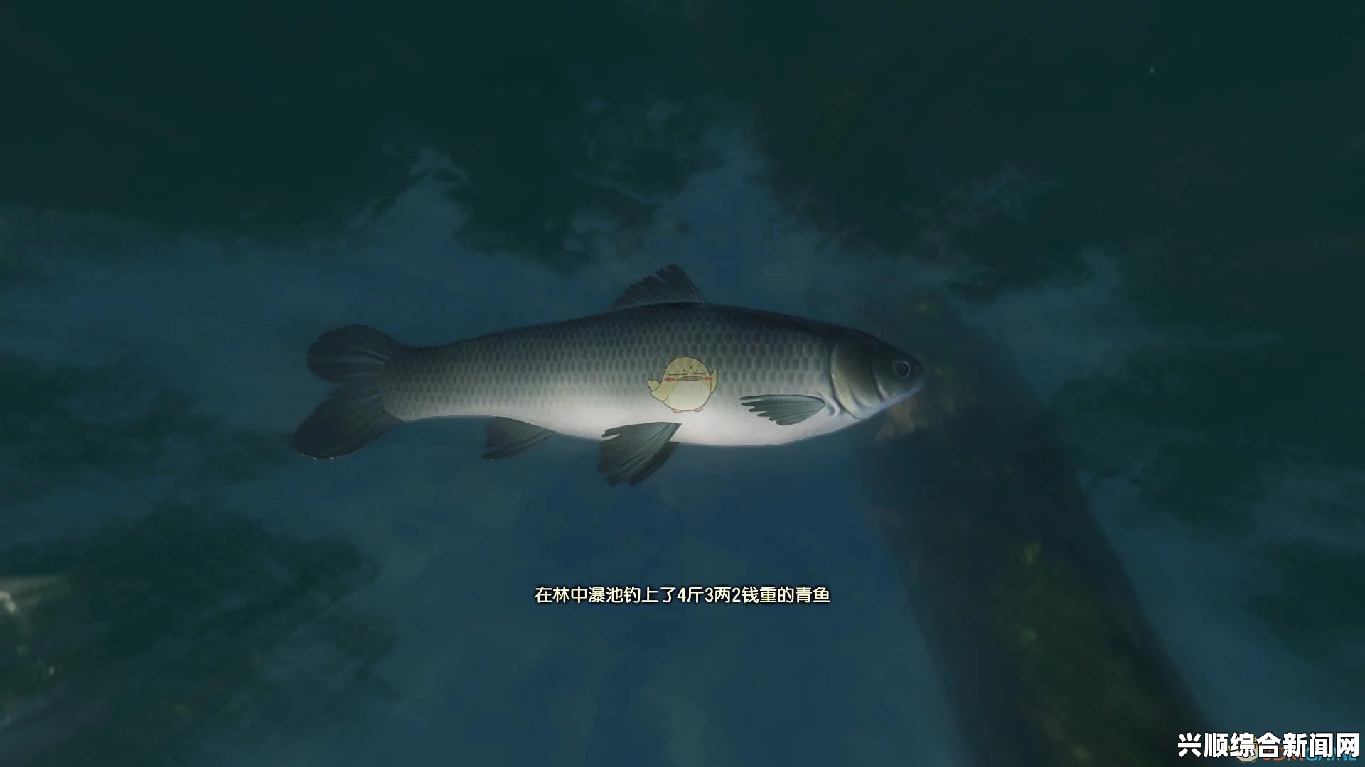 古剑奇谭3，鱿鱼垂钓地点全解析