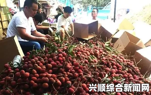 越南官方号召全民吃荔枝，应对出口中国市场遇阻的策略