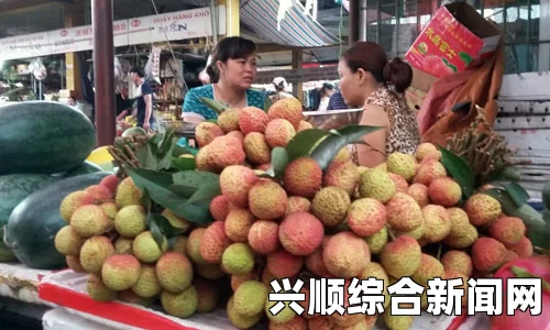 越南官方号召全民吃荔枝，应对出口中国市场遇阻的策略