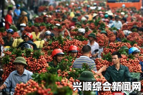 越南官方号召全民吃荔枝，应对出口中国市场遇阻的策略