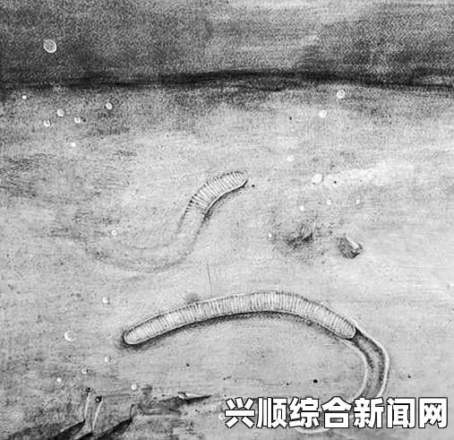 日本滋贺县发现罕见巨型蚯蚓，刷新国内长度纪录