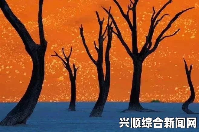 人类黎明，人与动物的比例和谐之道