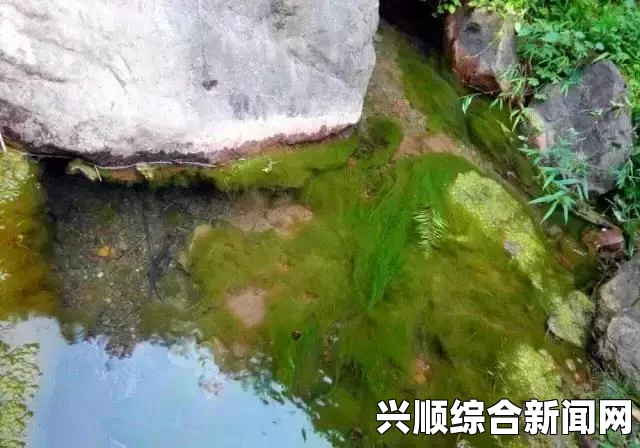DNF中假猪套与兰总套伤害对比