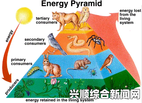 人类黎明，小人喂羊吃小麦的策略与指南