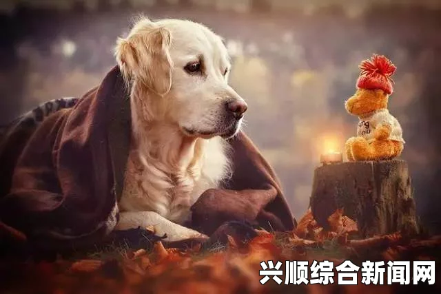 人类黎明狗的作用与重要性