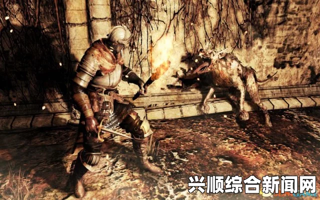 黑暗之魂2原罪学者 二周目罪人王咒术师打法心得分享