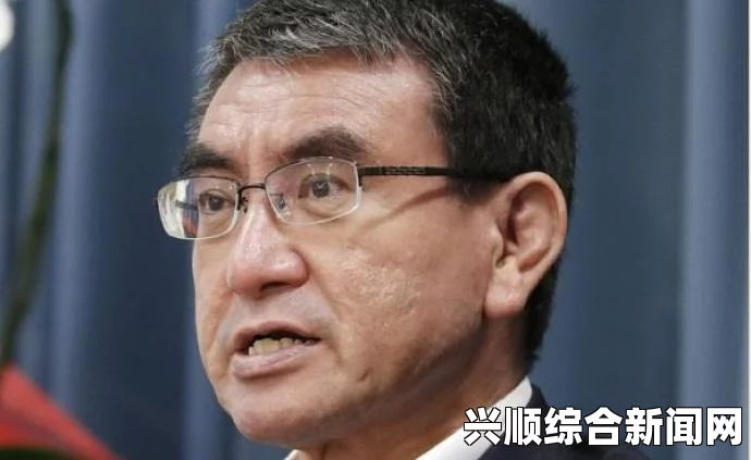 一、日本防卫大臣的言论引发关注
