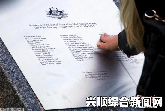 安理会通过关于马航MH17坠机事件决议草案 强烈谴责关切事件引发全球关注