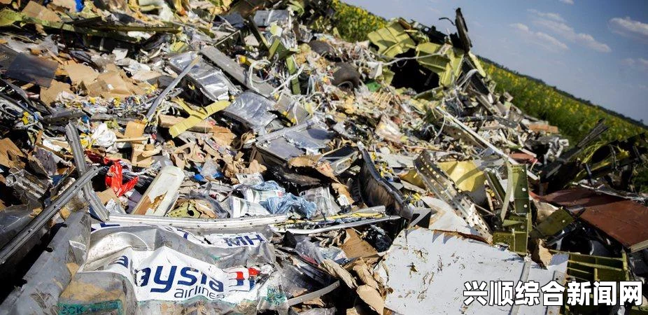 乌克兰反政府武装移交MH17黑匣子至马来西亚，事件背景与后续发展