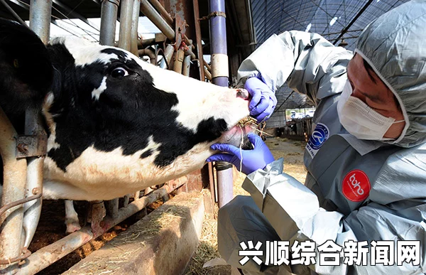 韩国某养猪场爆发口蹄疫疫情，紧急应对措施与影响分析