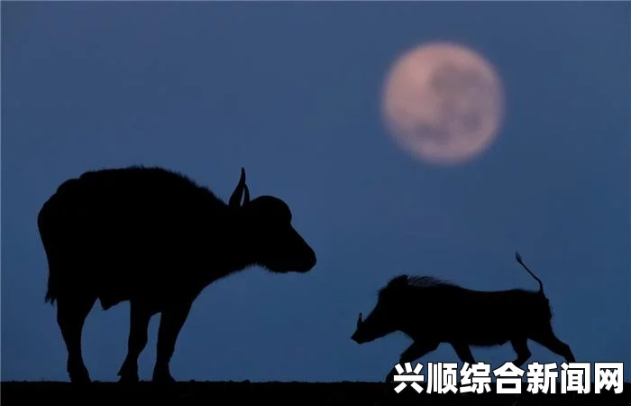 人类黎明时期动物的作用