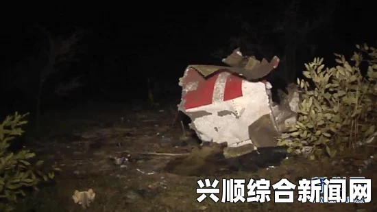 阿航AH5017航班马里坠毁事件揭秘，曾经的皇马座驾悲剧真相探索