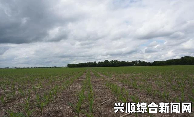 风暴英雄经验系统详解，如何获得更多经验