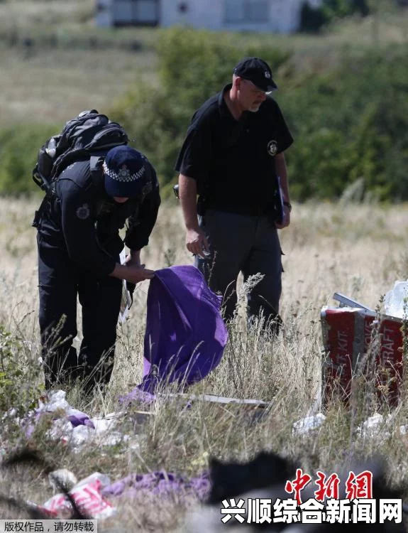 MH17客机坠毁地遭遇炮击，欧安组织专家展开艰难搜索行动