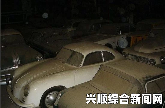 葡萄牙男子农场养老发现百万英镑老爷车宝藏