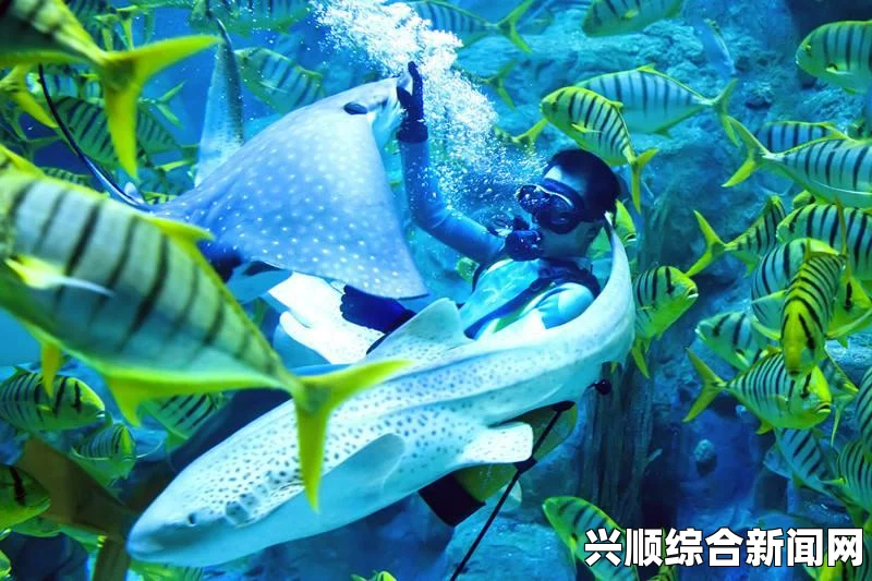 QQ飞车永久特效双人座椅三连发，极品人气套装浪漫飞旋