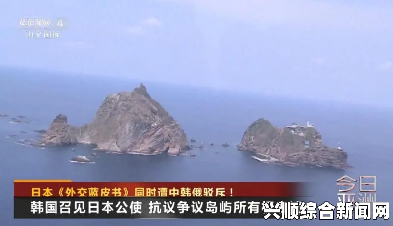 日本防卫白皮书引发韩国强烈抗议，再次宣称对独岛拥有主权