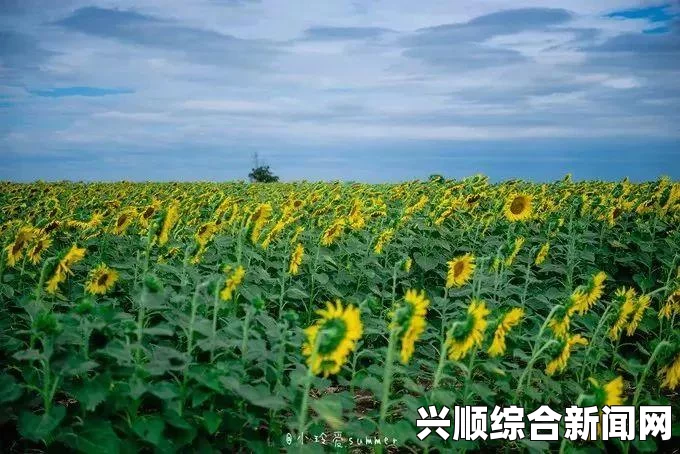 泰国最新政策，免除中国游客签证费，为期三个月